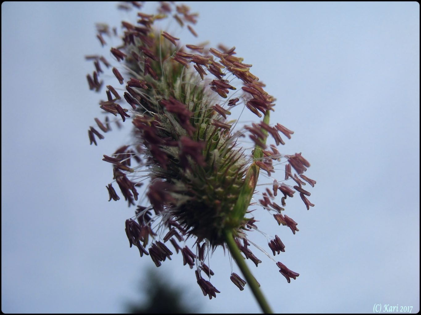 Valokuvaaja: Kari Saarinen