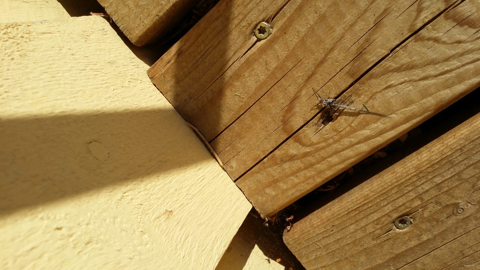 Valokuvaaja: arto inkeröinen