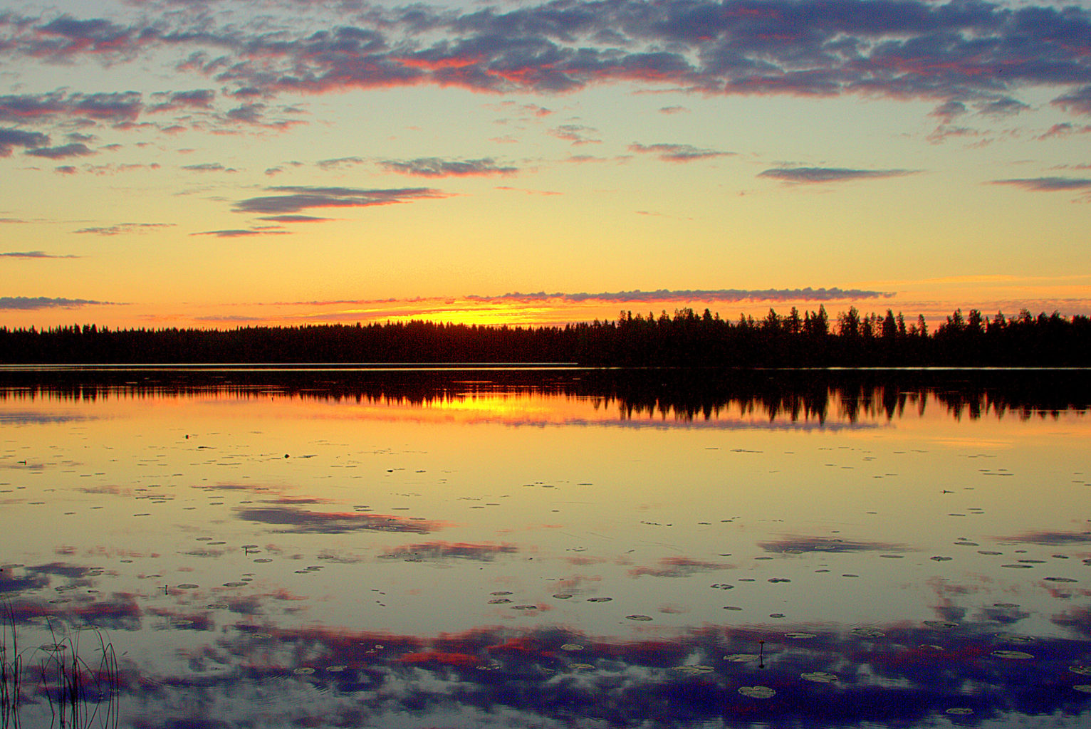 Valokuvaaja: Sirpa Jyske