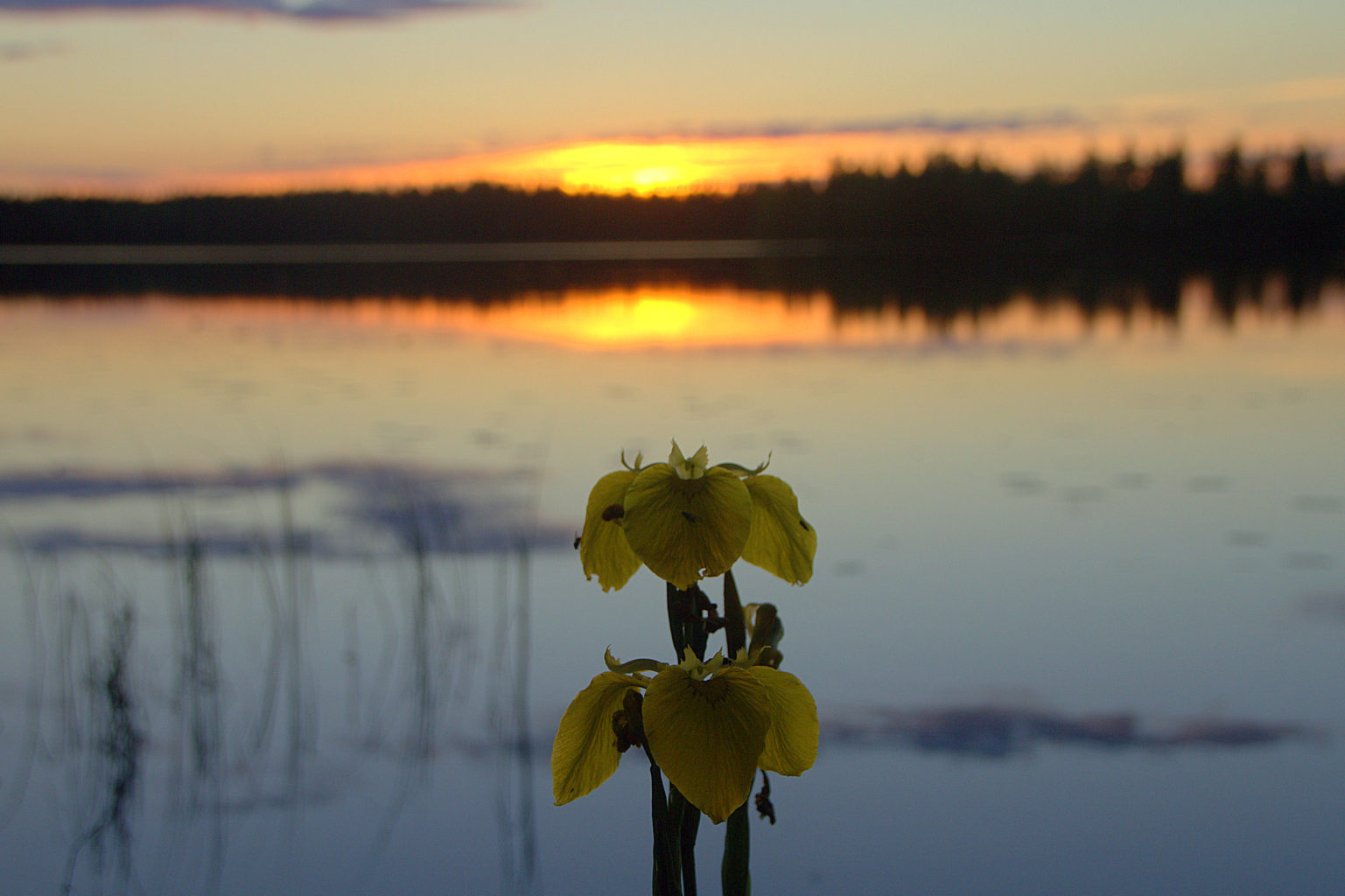 Valokuvaaja: Sirpa Jyske