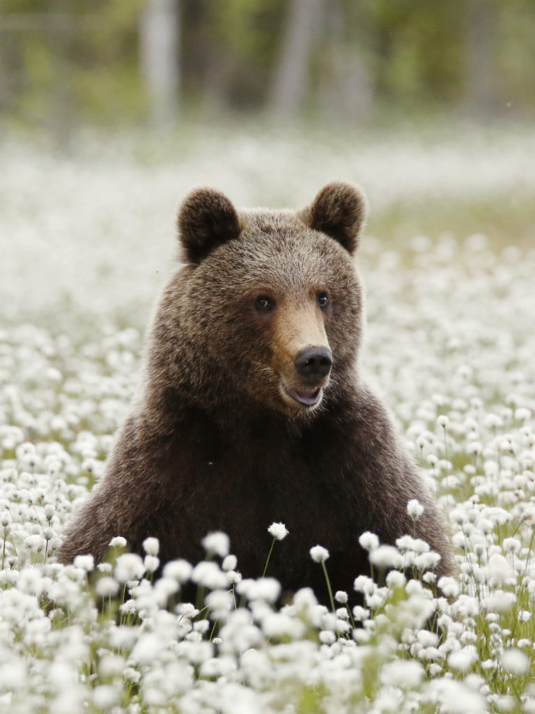 Valokuvaaja: Anne Moilanen