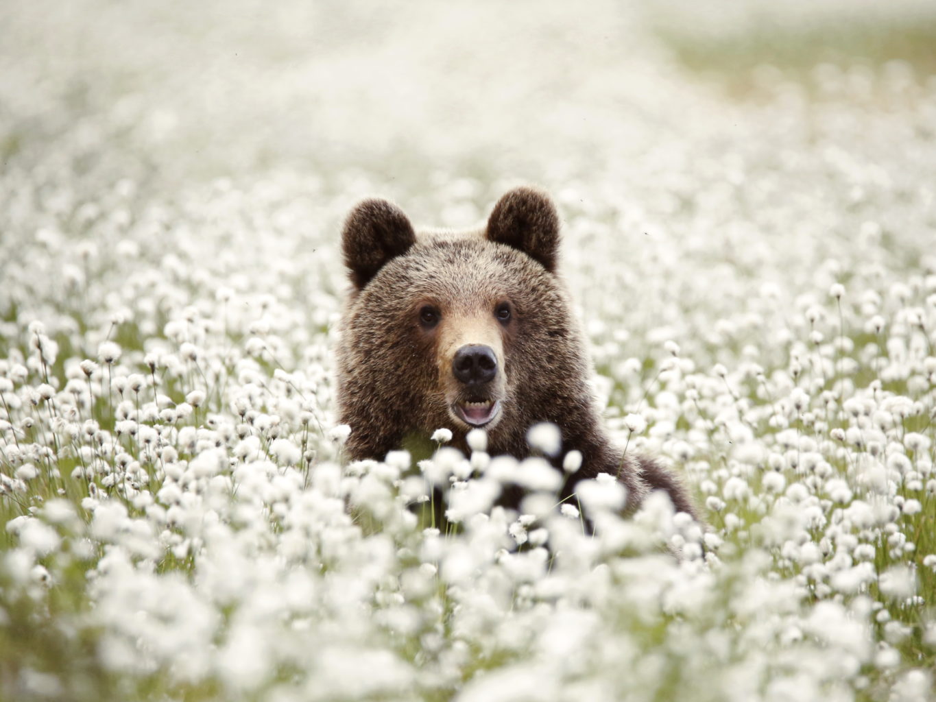 Valokuvaaja: Anne Moilanen