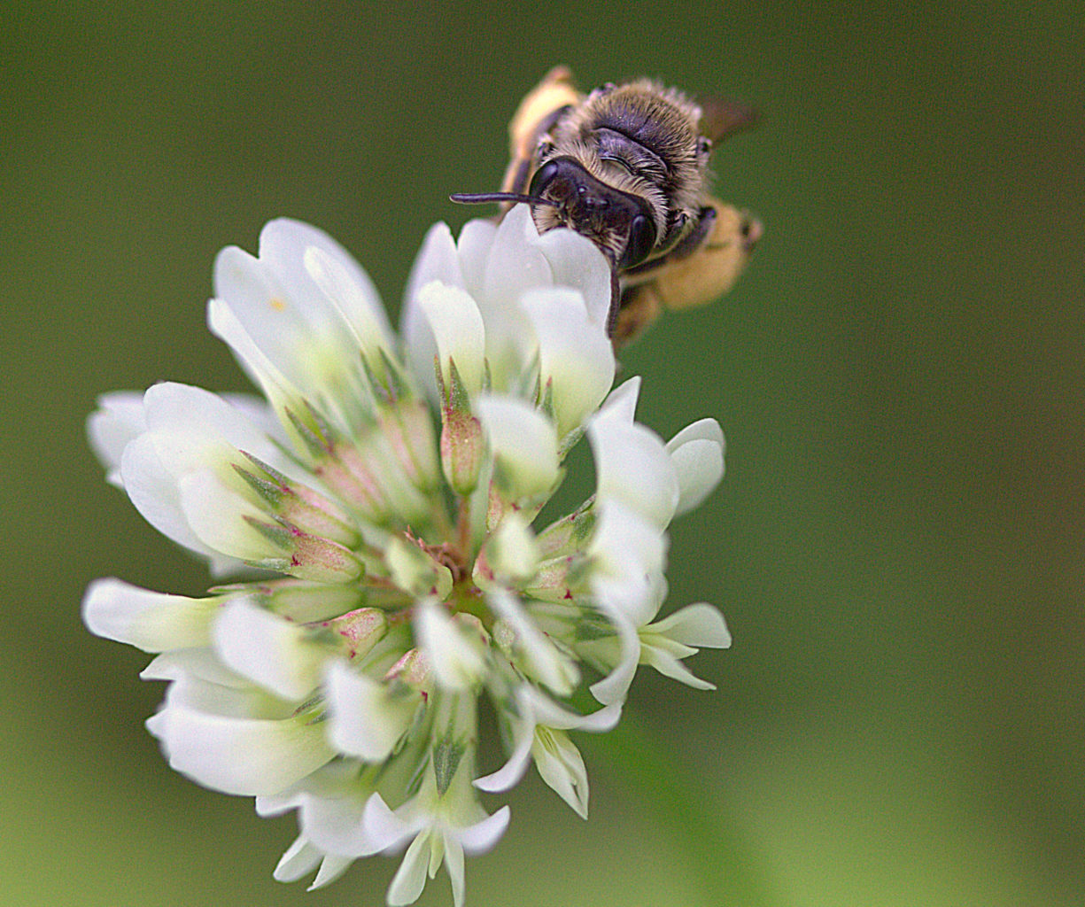 Valokuvaaja: Sirpa Jyske