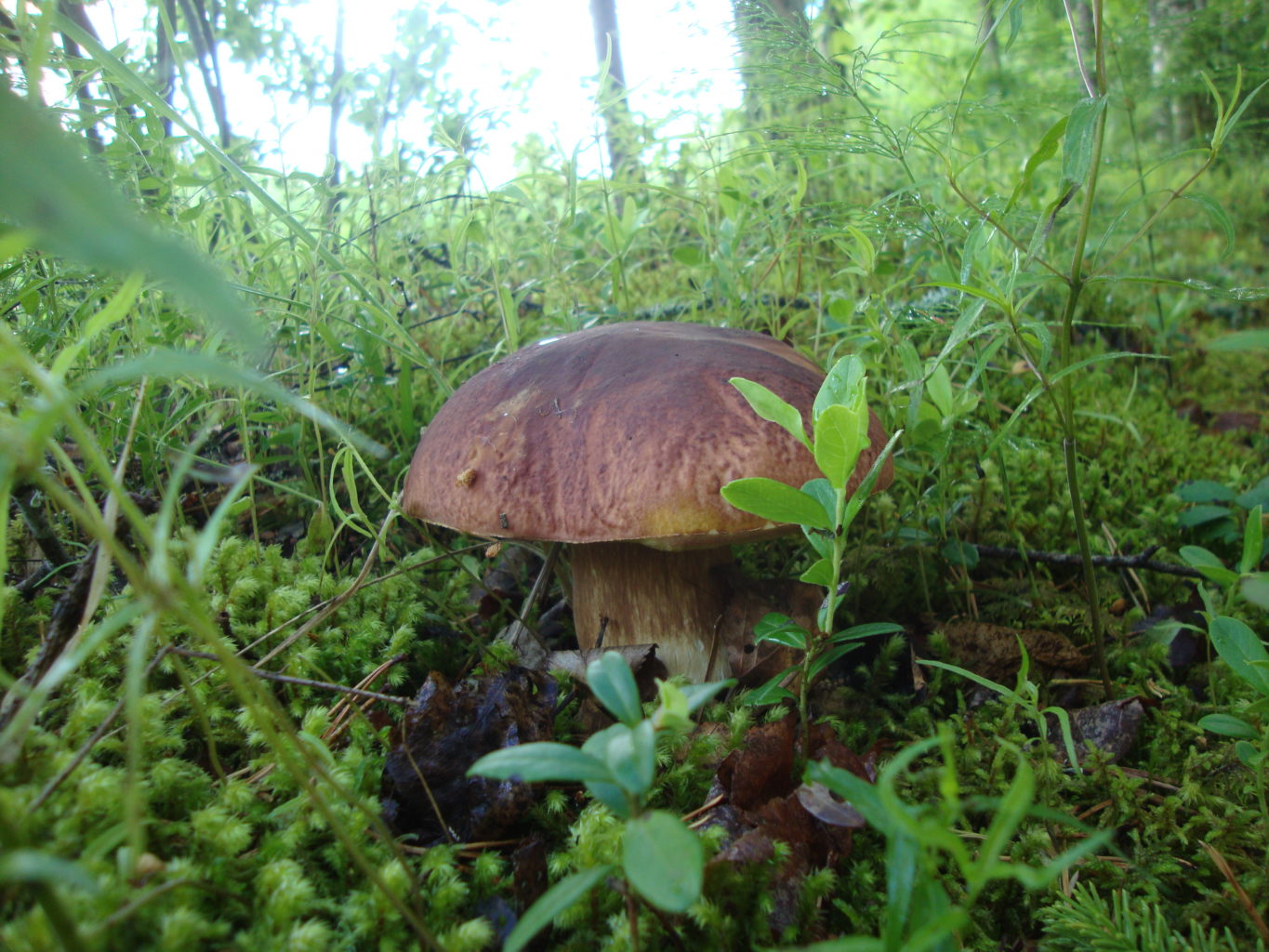 Valokuvaaja: Anja Mustamaa