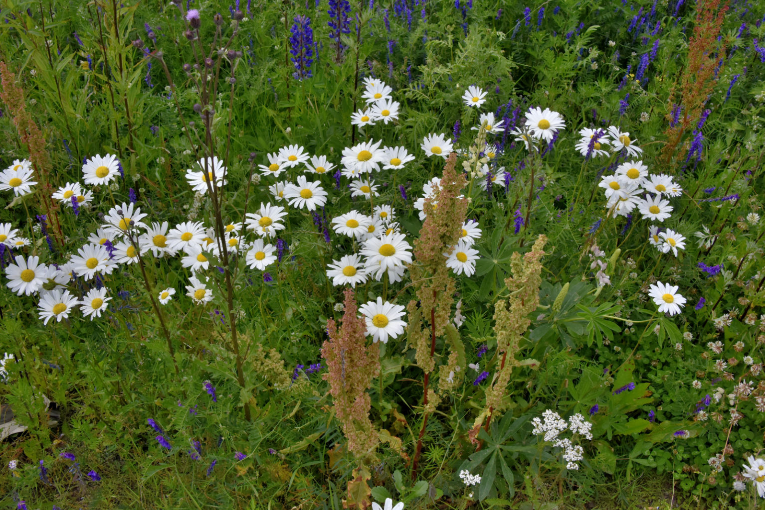 Valokuvaaja: Reijo Juurinen