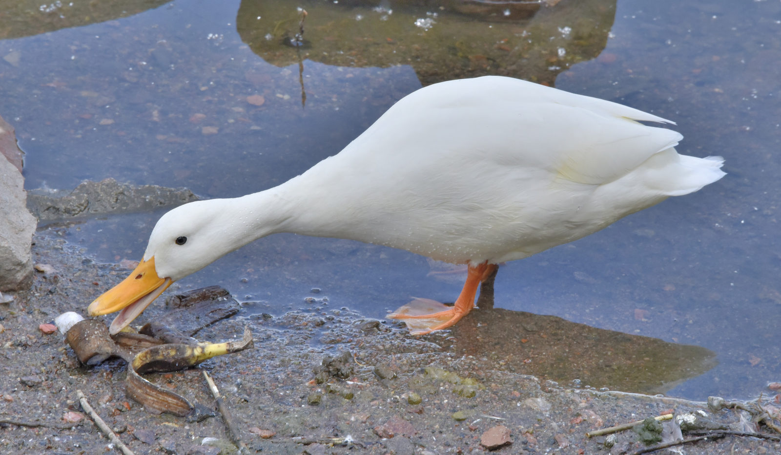 Valokuvaaja: Reijo Juurinen