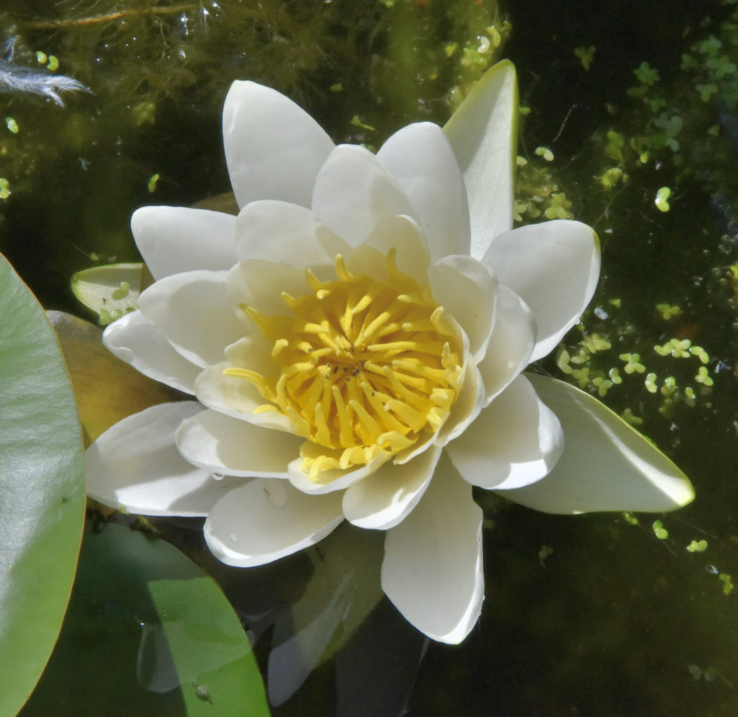 Valokuvaaja: Reijo Juurinen