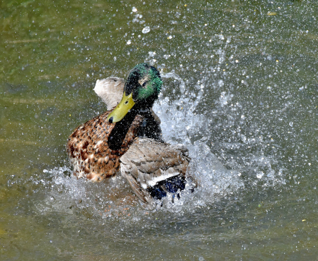 Valokuvaaja: Reijo Juurinen