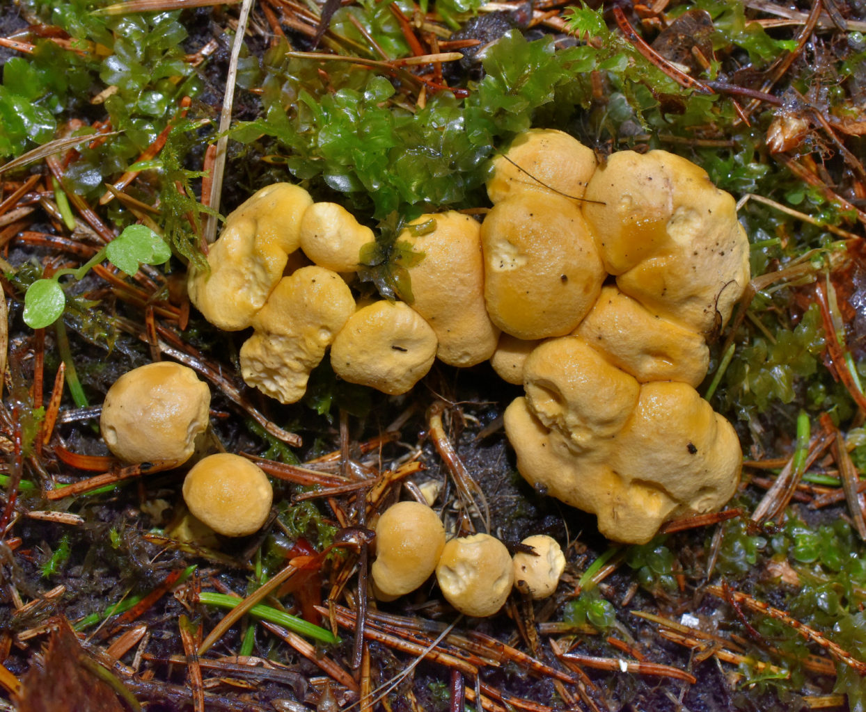 Valokuvaaja: Reijo Juurinen