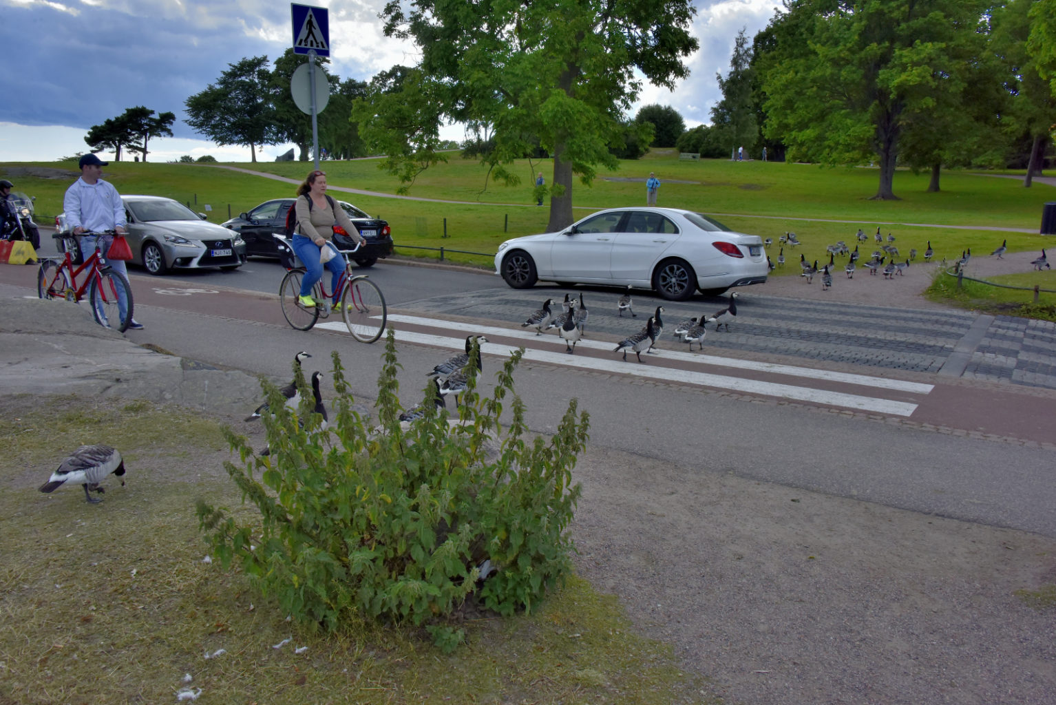 Valokuvaaja: Reijo Juurinen