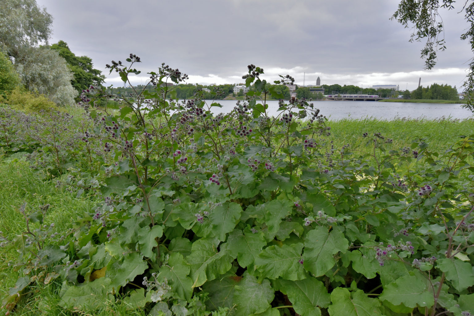 Valokuvaaja: Reijo Juurinen