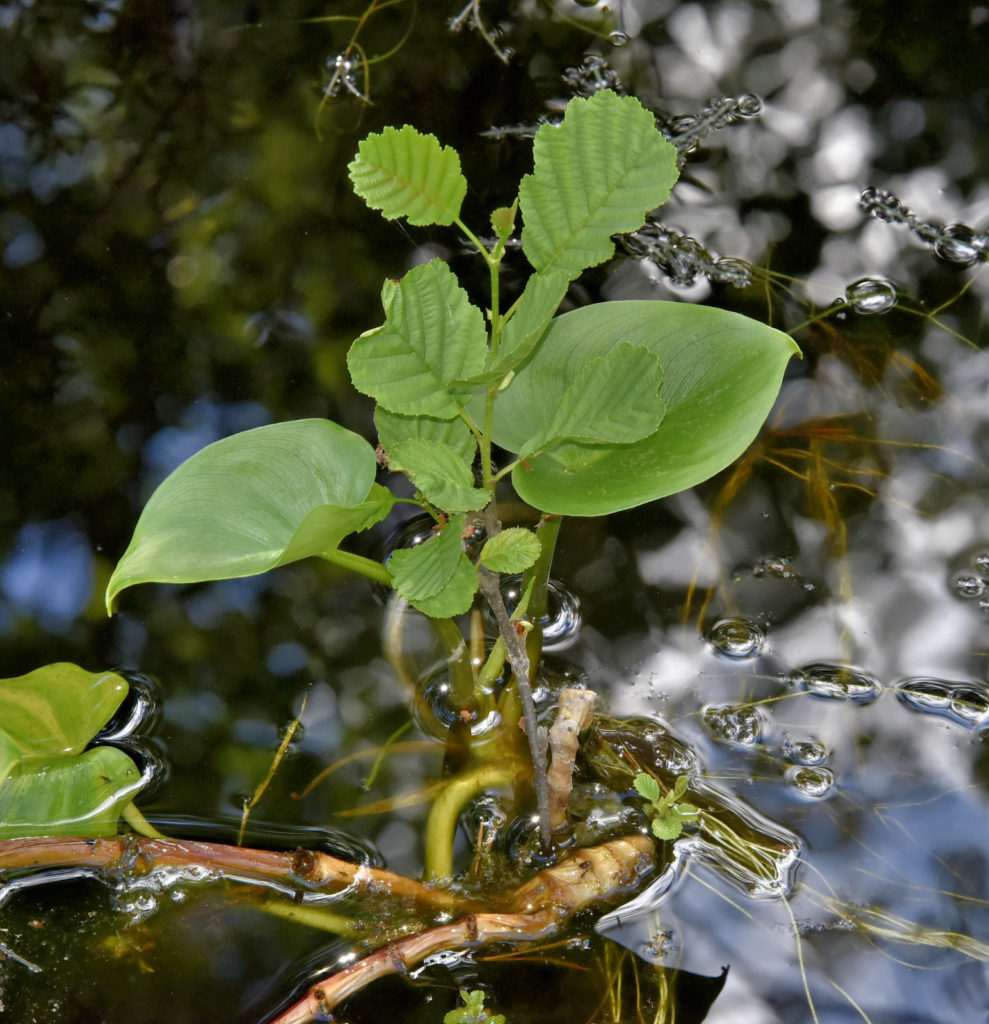Valokuvaaja: Reijo Juurinen