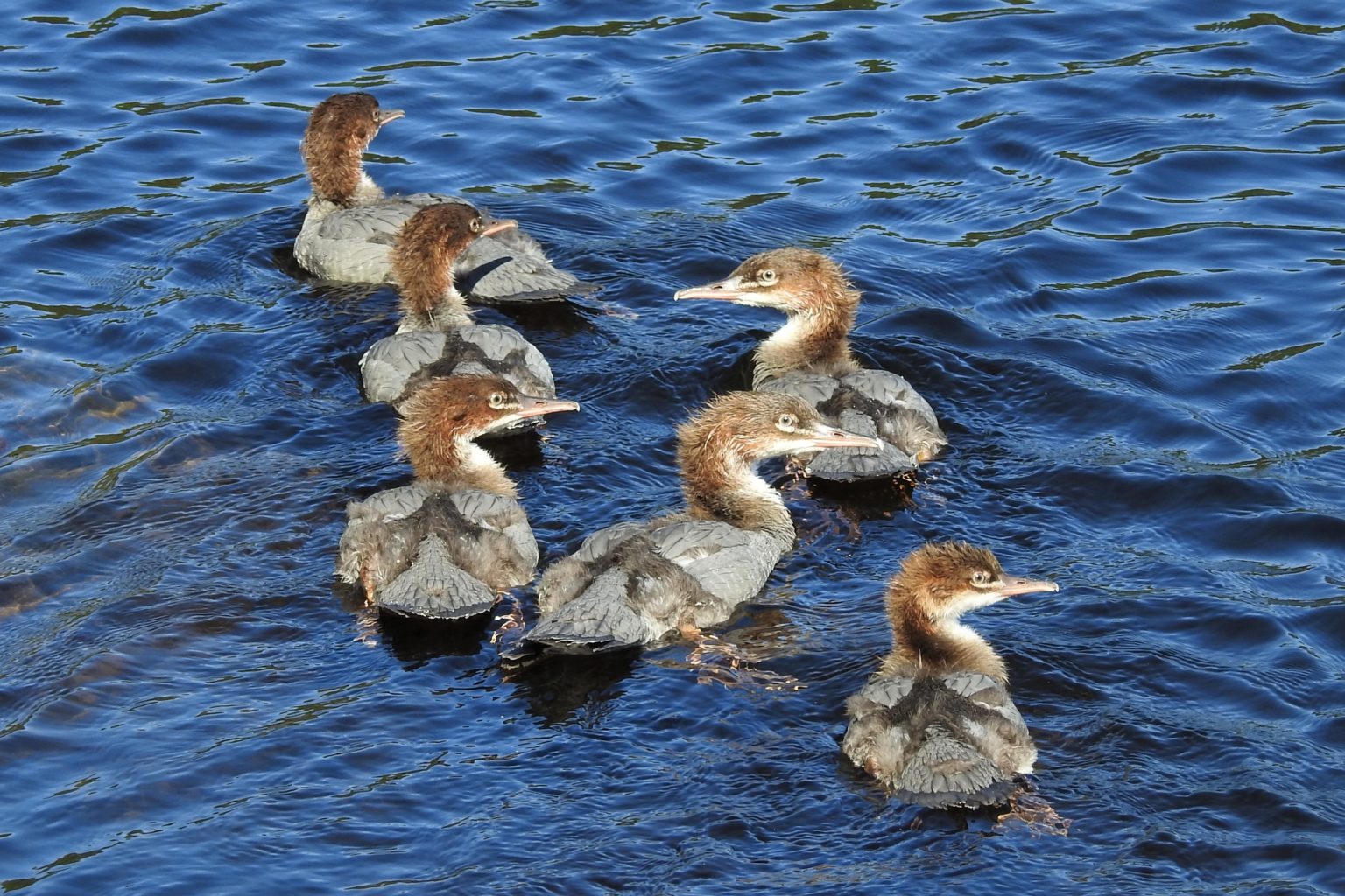 Valokuvaaja: Maarit Siitonen