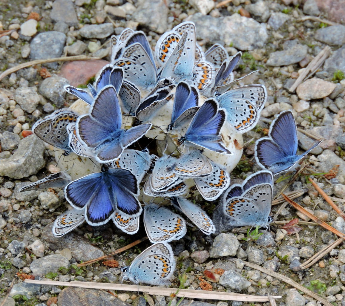 Valokuvaaja: Annikki Kärkkäinen
