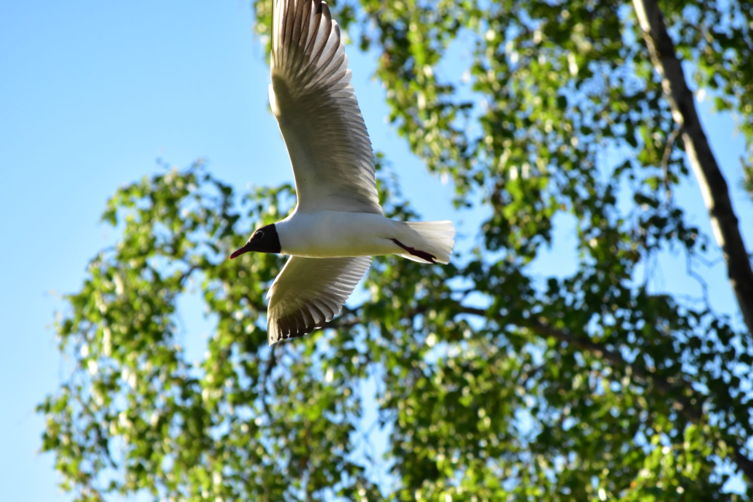 Valokuvaaja: Jyri Oksanen Valokuvaaja: Jyri Oksanen