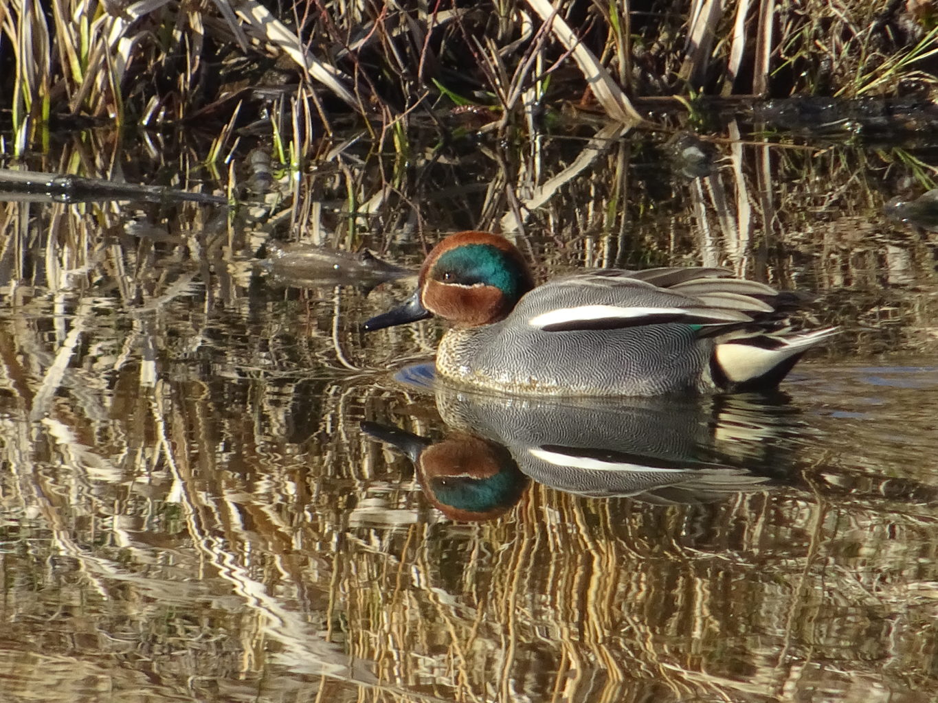 Valokuvaaja: Miku Nerg