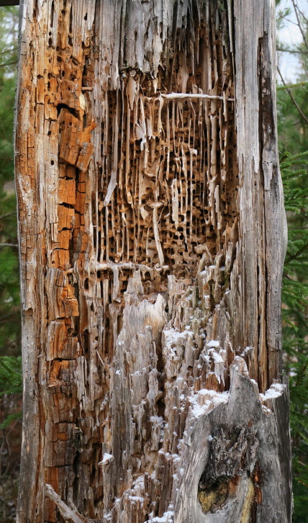 Valokuvaaja: Pauli Kirkinen