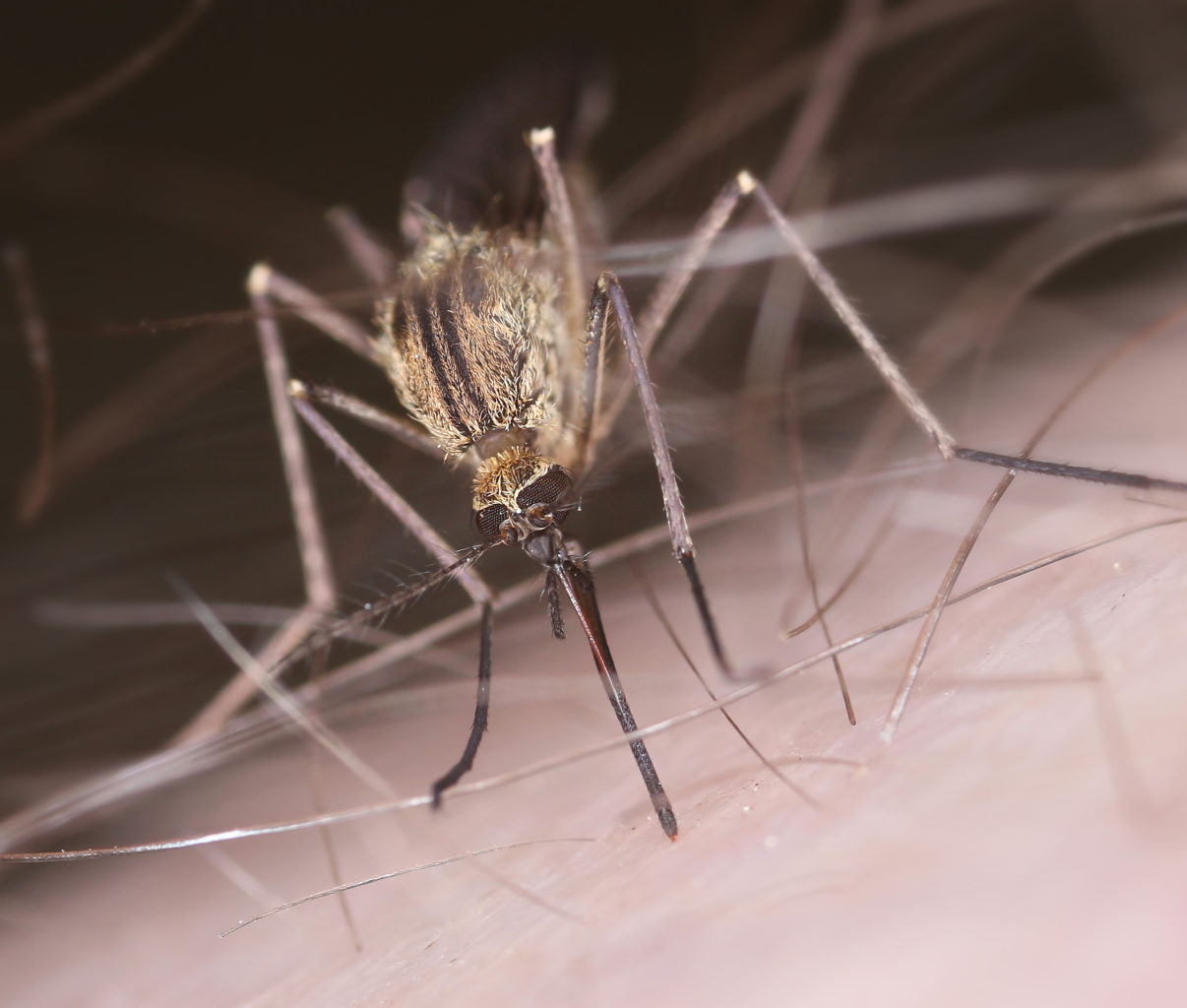 Valokuvaaja: Tarja Porkkala