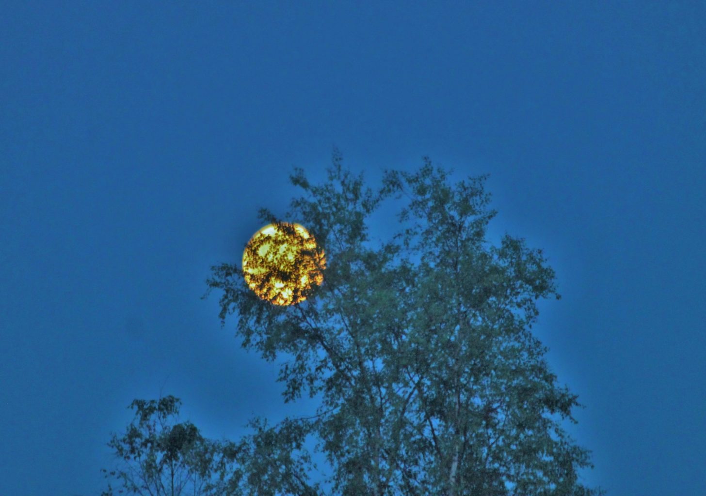 Valokuvaaja: Pirkko Hautamäki