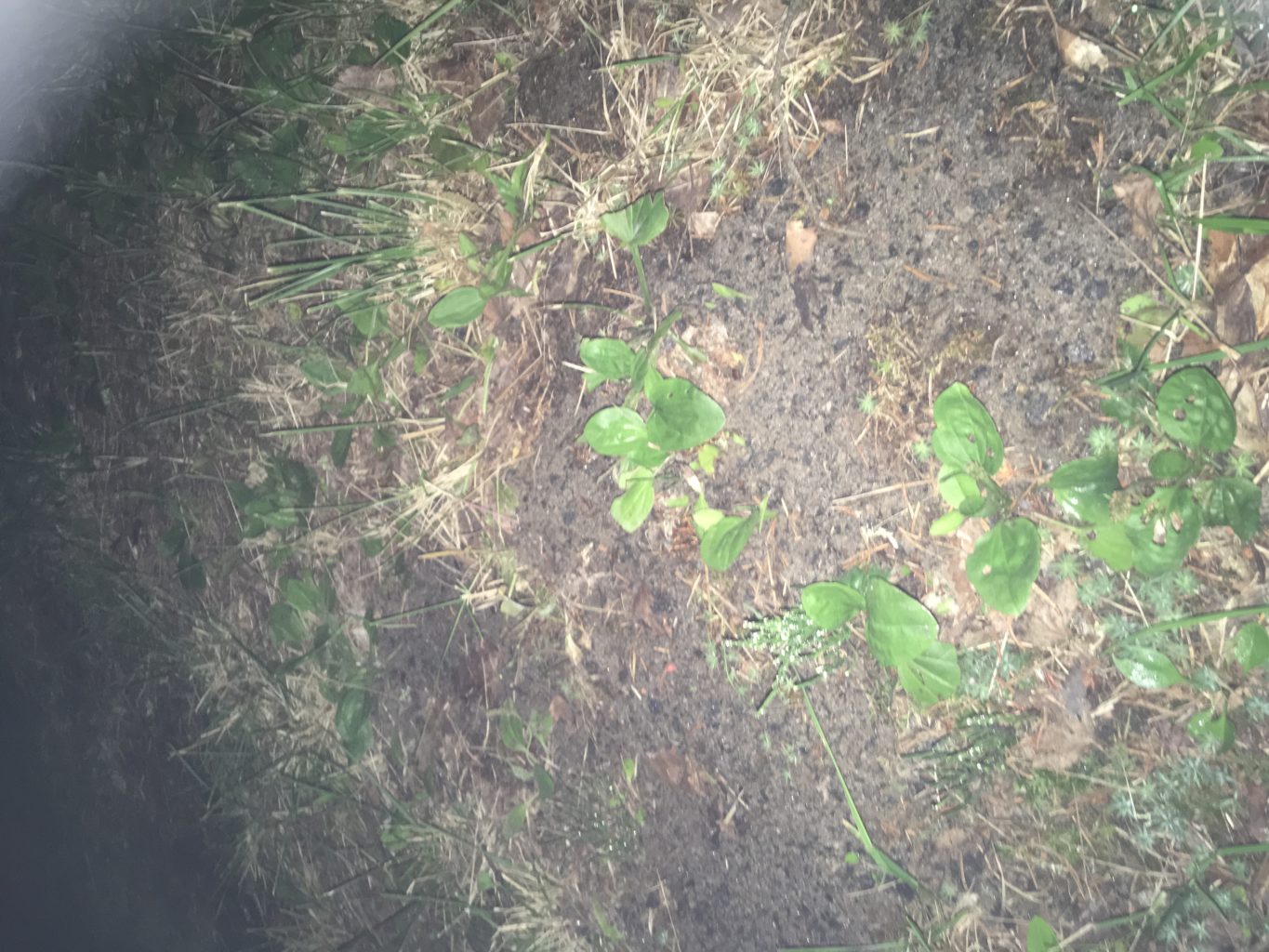 Valokuvaaja: Anne Wirenius