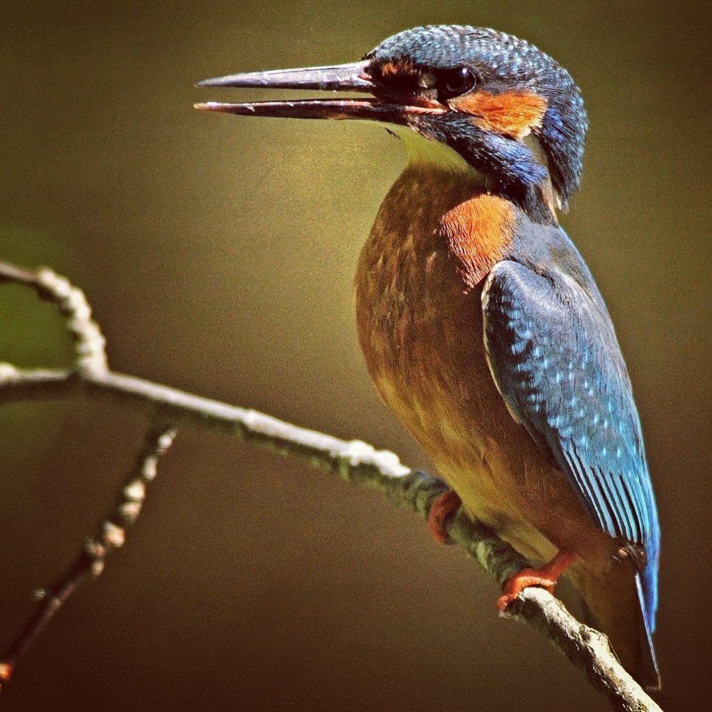 Valokuvaaja: Jenni Merilä