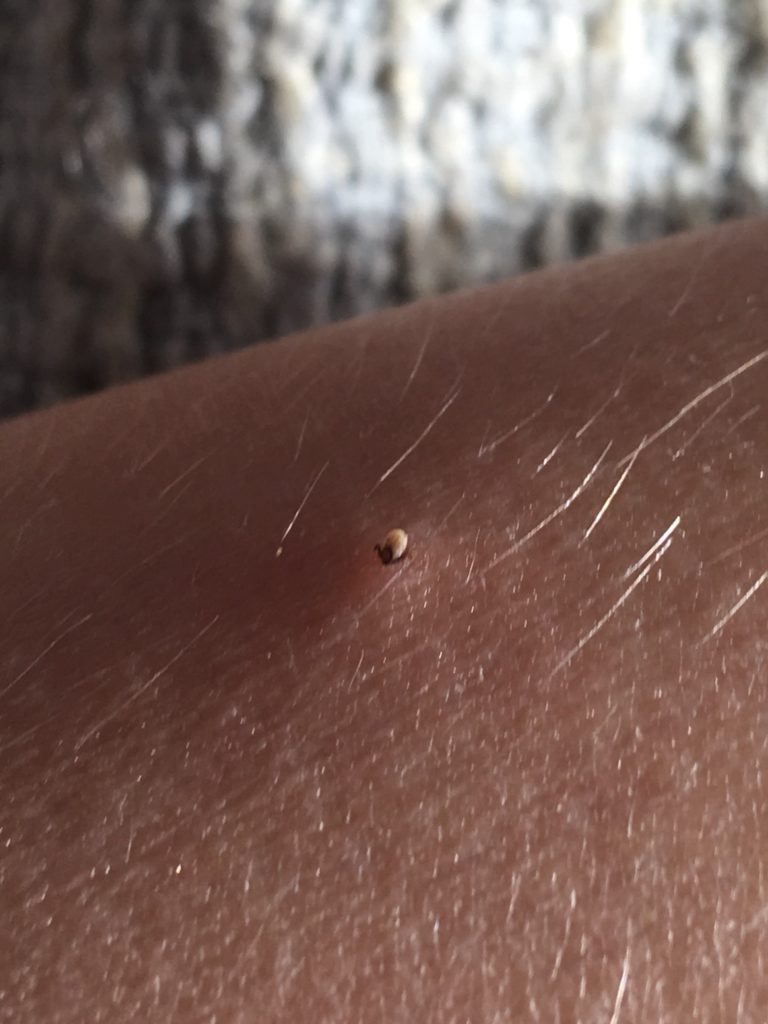 Valokuvaaja: Jenni Merilä