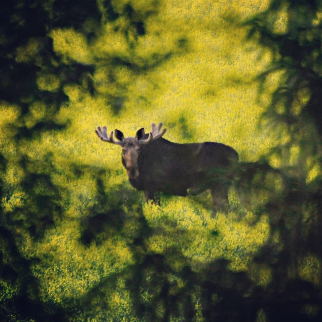 Valokuvaaja: Jenni Merilä