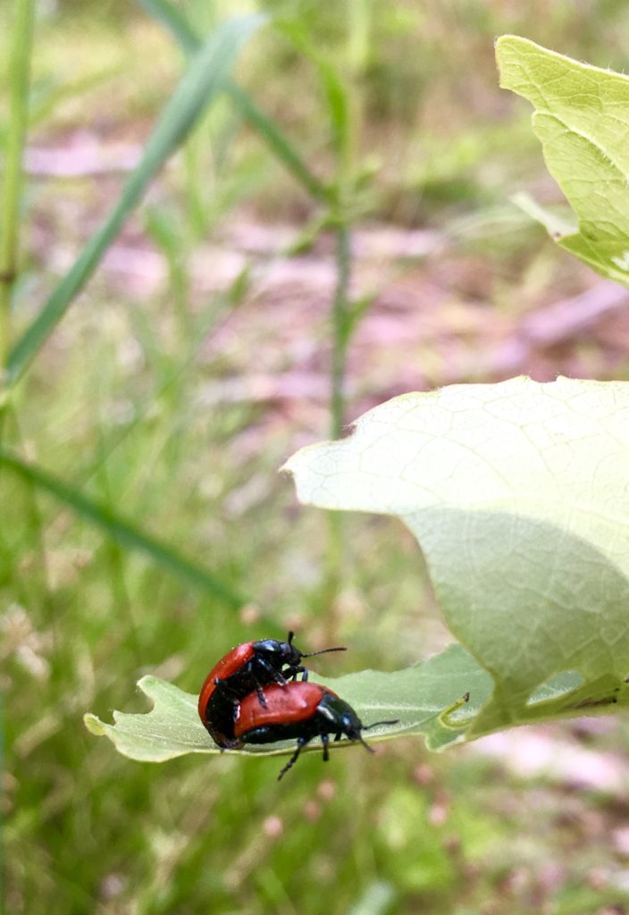 Valokuvaaja: Heli Jussila Valokuvaaja: Heli Jussila