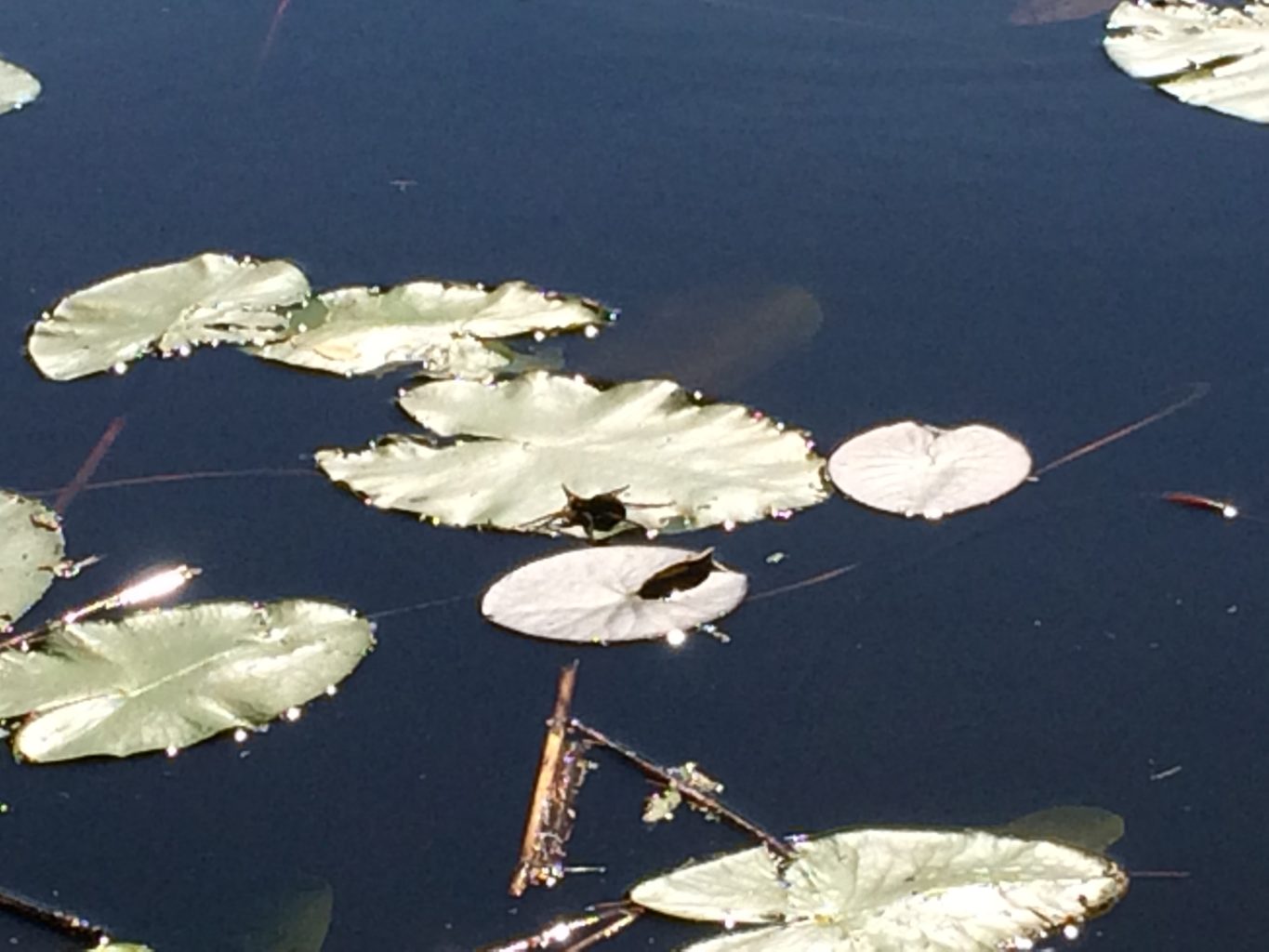 Valokuvaaja: Johanna Lampinen