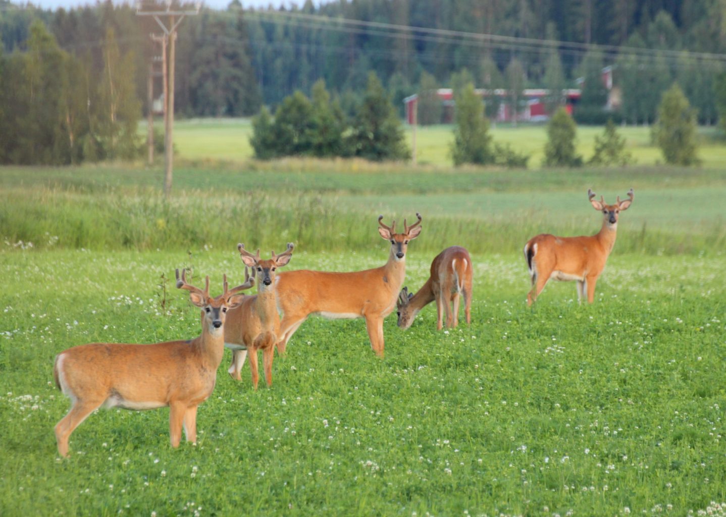Valokuvaaja: Irja lehtinen