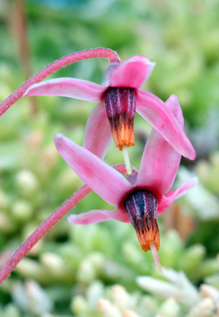 Valokuvaaja: hannu rasiranta