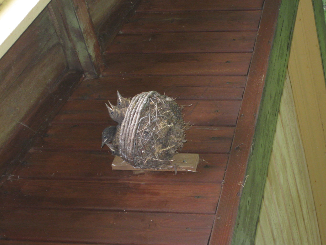 Valokuvaaja: Matti Nuorteva