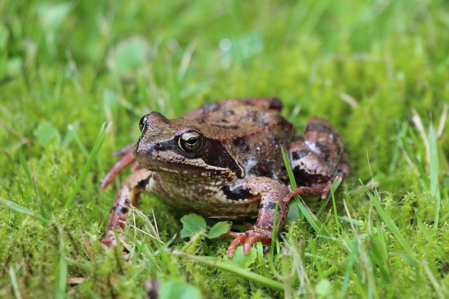 Valokuvaaja: Kirsi-Marja Joenpolvi