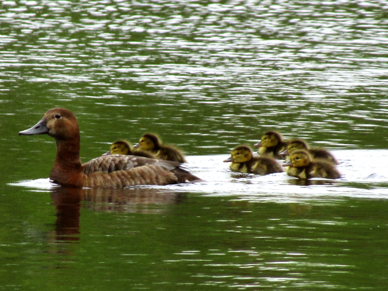 Valokuvaaja: Sirkka Ruotoistenmäki