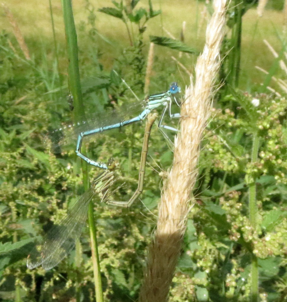 Valokuvaaja: Terttu Rantanen