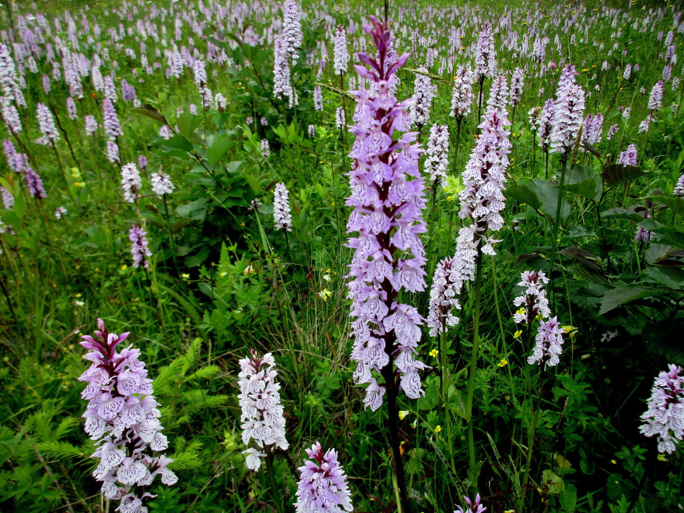 Valokuvaaja: Tiina Rautava