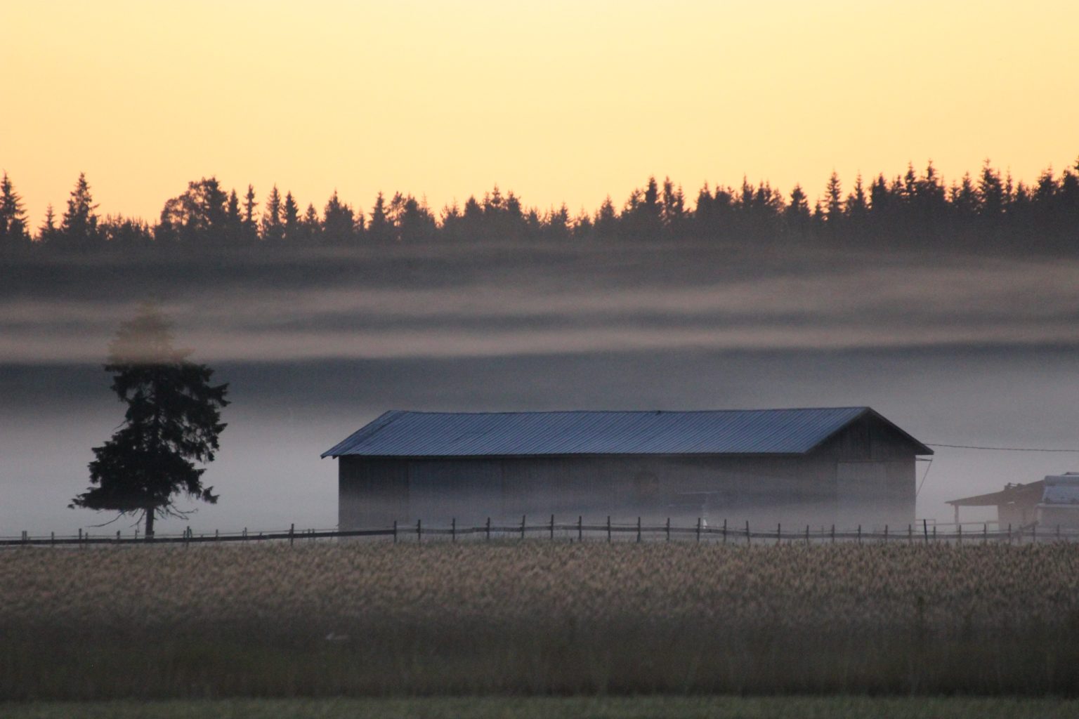 Valokuvaaja: Irja Lehtinen