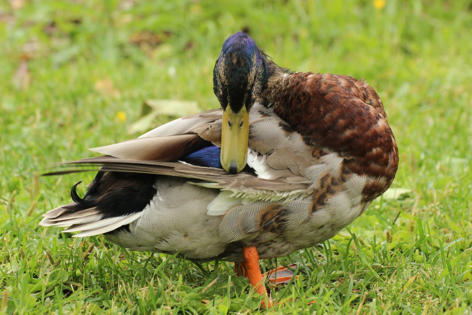 Valokuvaaja: Irja Lehtinen