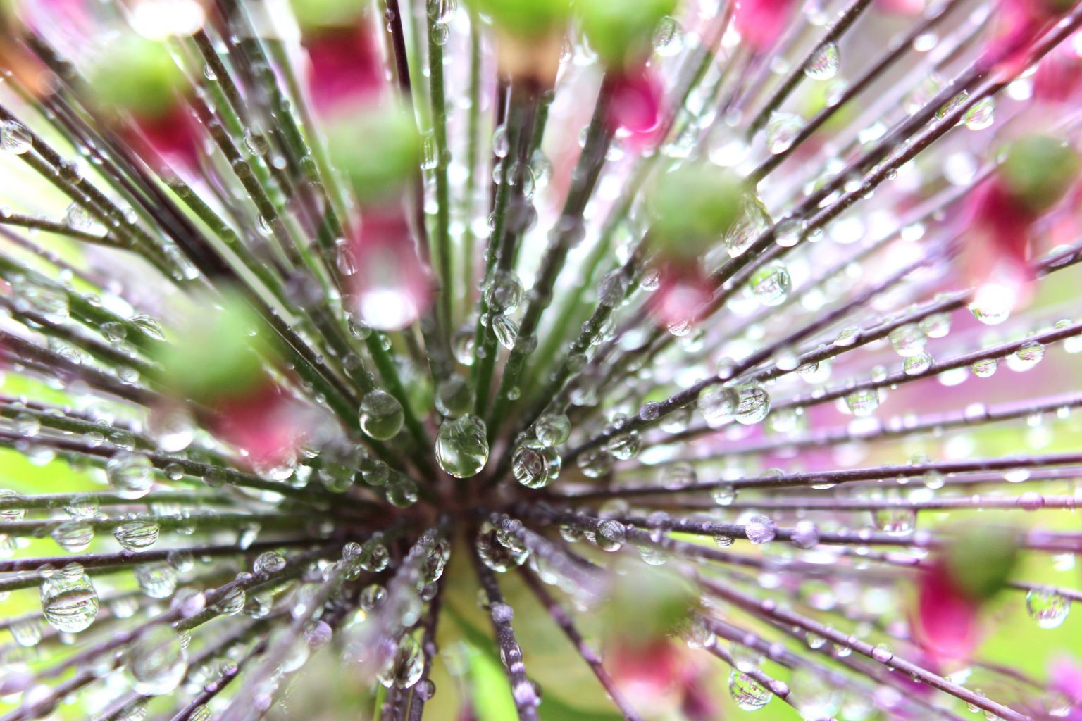 Valokuvaaja: Irja lehtinen