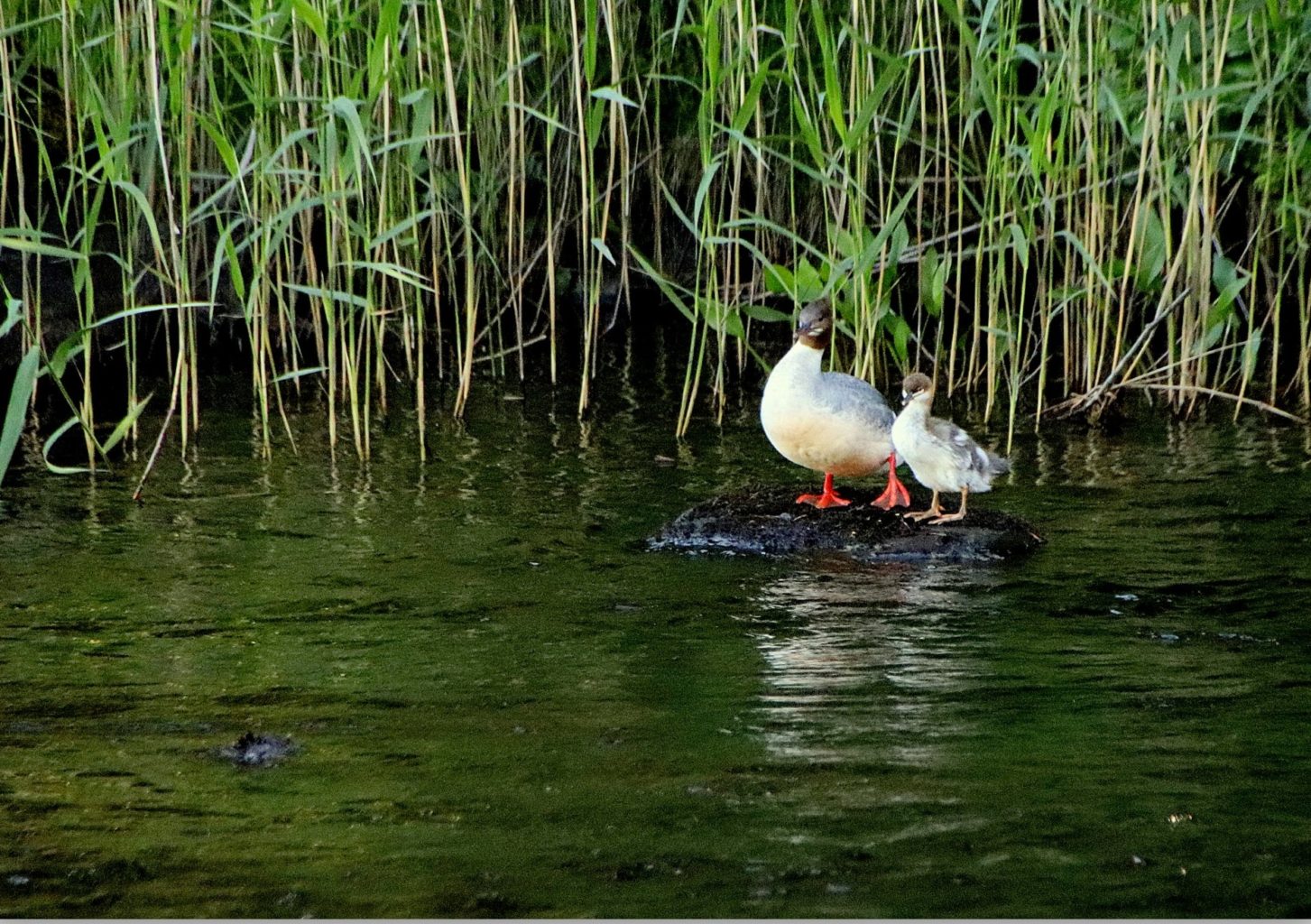 Valokuvaaja: Sirpa Jyske