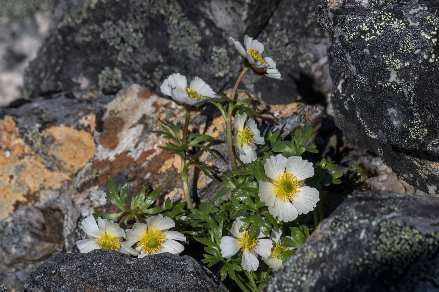 Valokuvaaja: Katri Niskanen