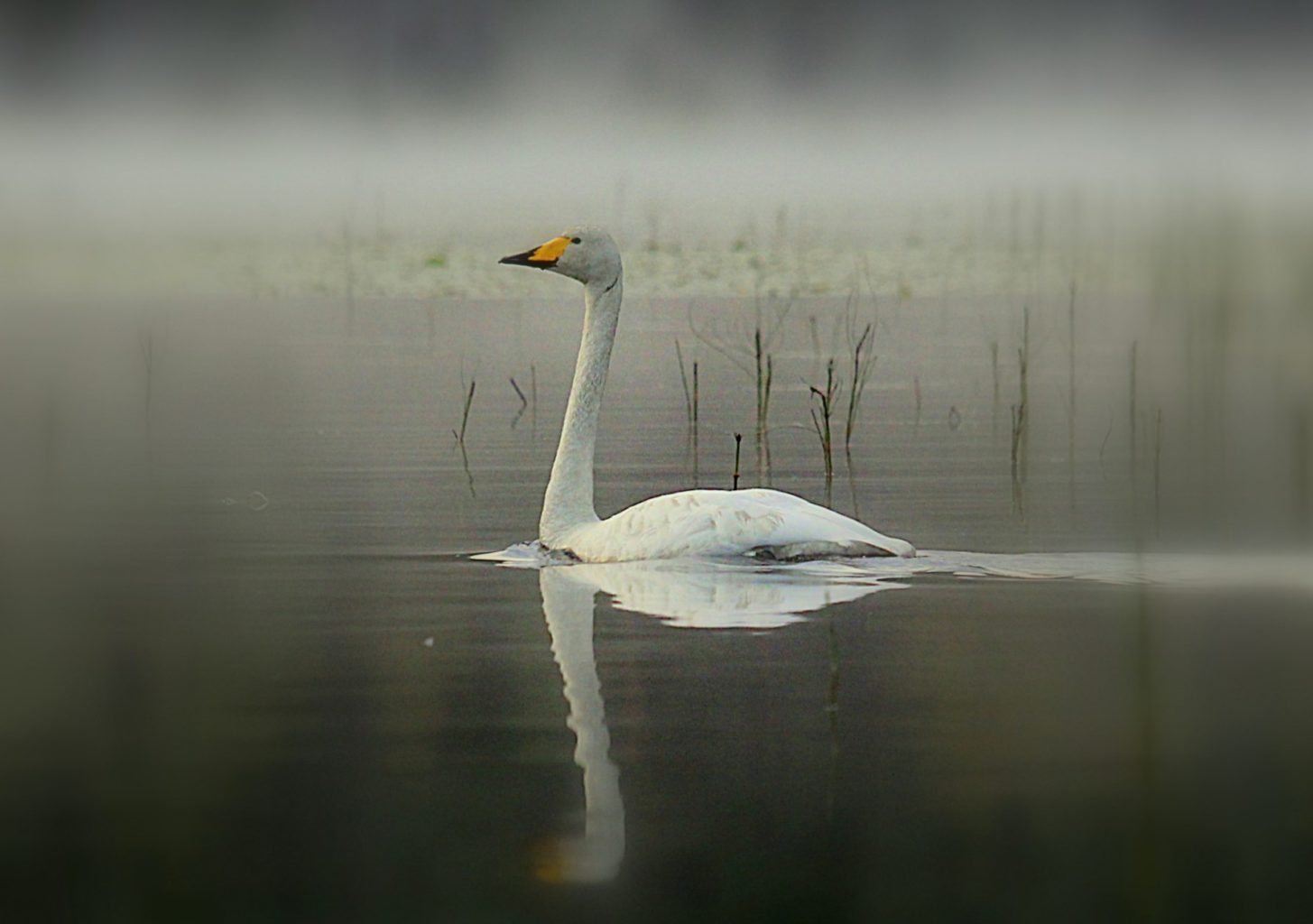 Valokuvaaja: Sirpa Jyske