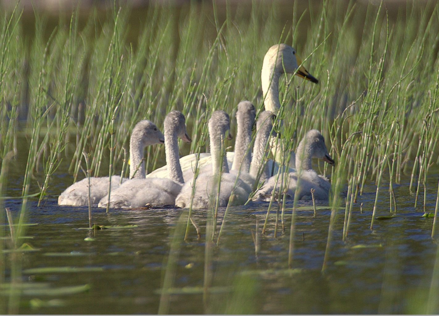 Valokuvaaja: Sirpa Jyske