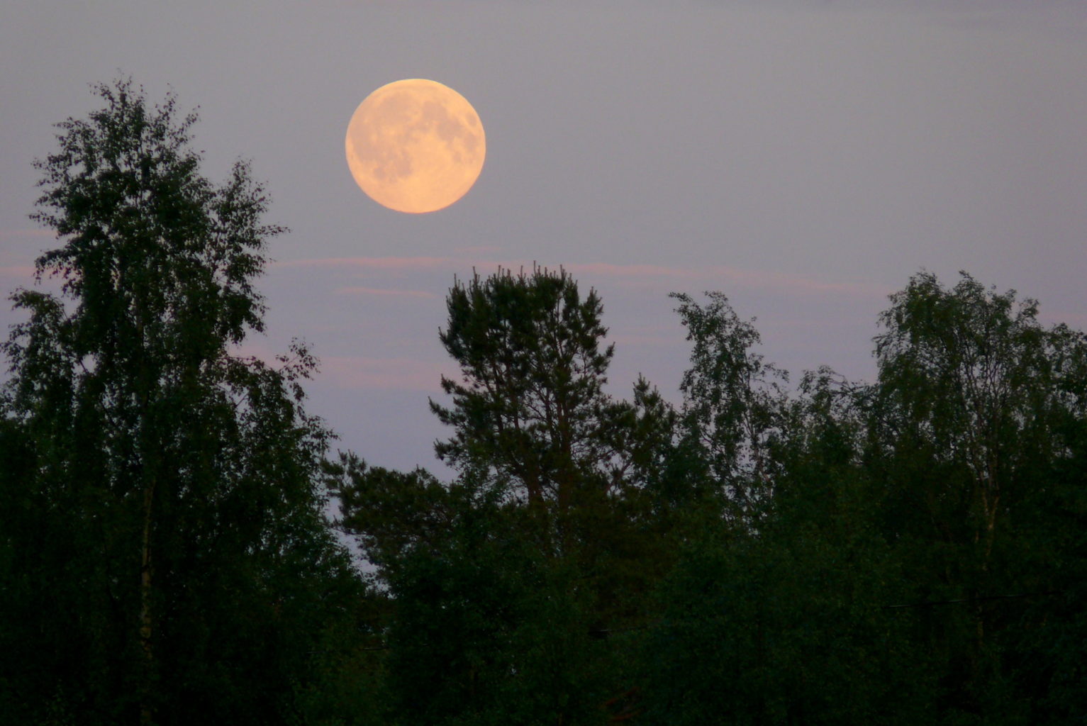 Valokuvaaja: Kaarlo Asikainen