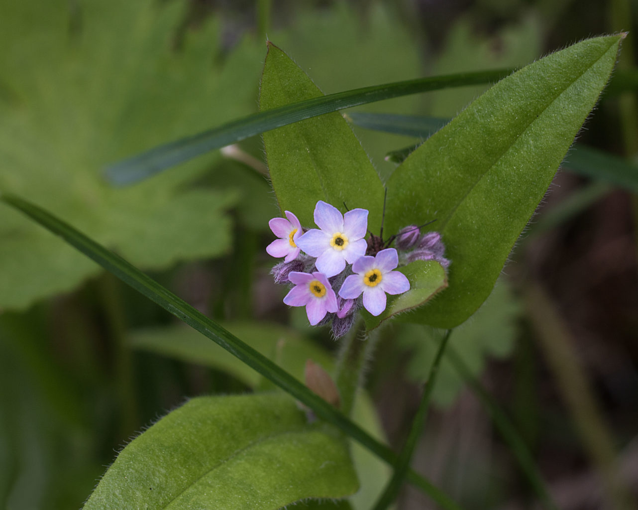 Valokuvaaja: Katri Niskanen