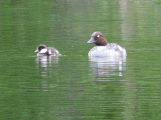 Valokuvaaja: Hannu Rissanen
