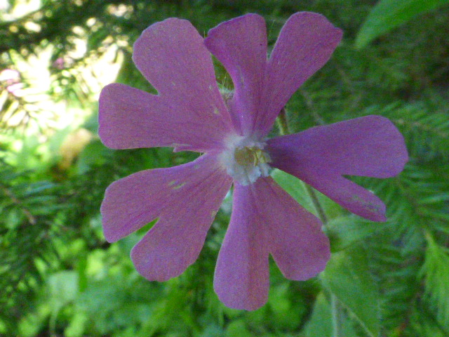 Valokuvaaja: Hannu Rissanen