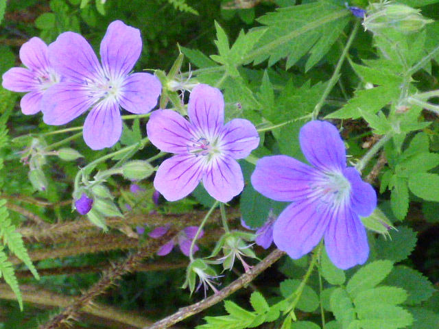 Valokuvaaja: Hannu Rissanen