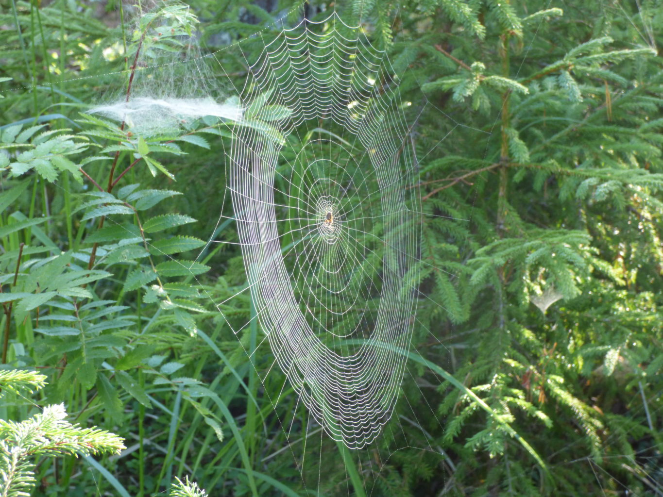 Valokuvaaja: Hannu Rissanen