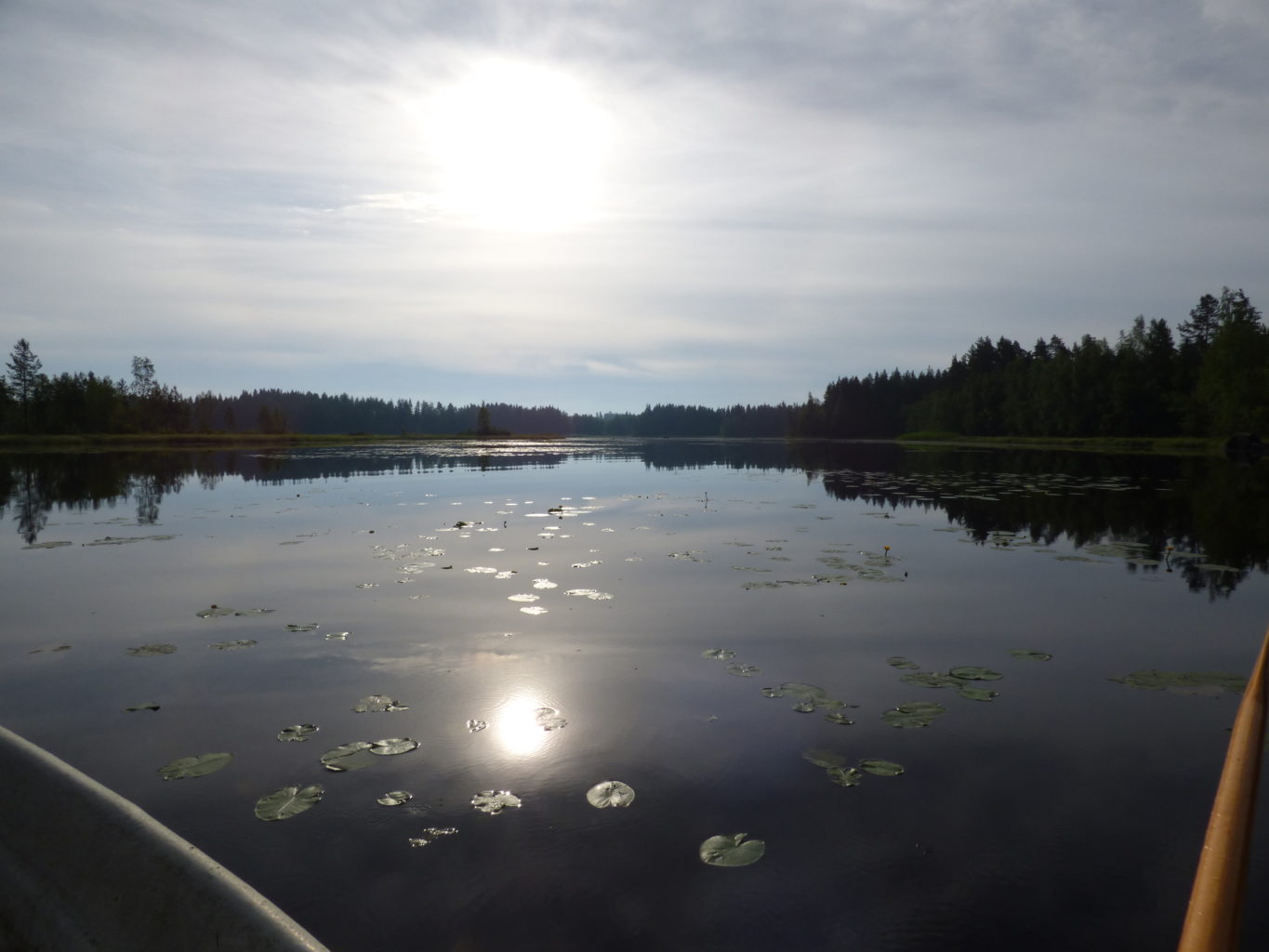 Valokuvaaja: Hannu Rissanen